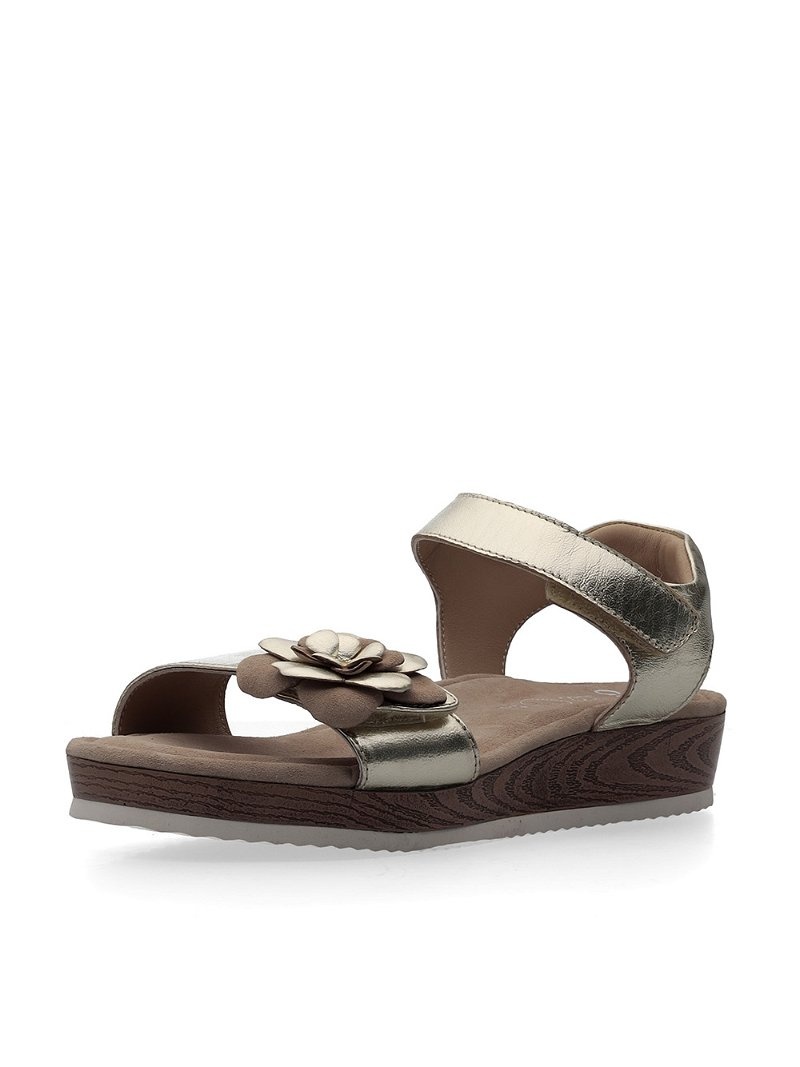 Sandales ARA Fidschi Femme | XRG-37865930