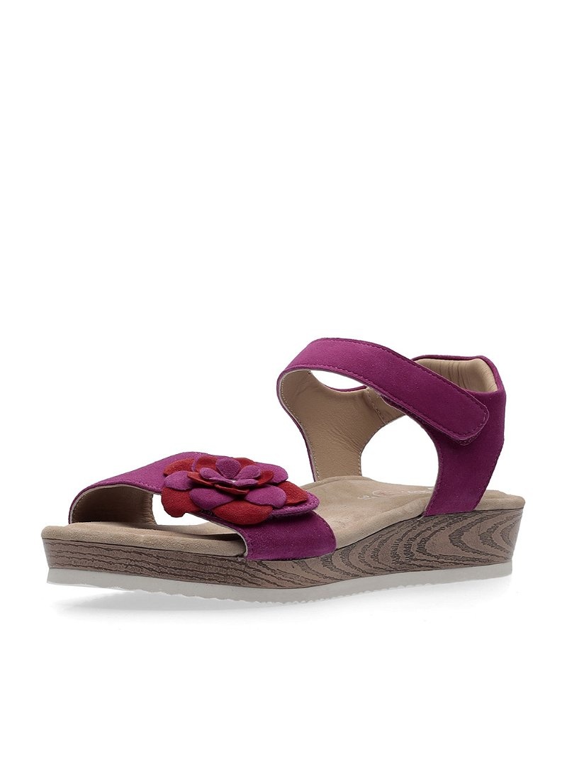 Sandales ARA Fidschi Femme | VMF-59074997