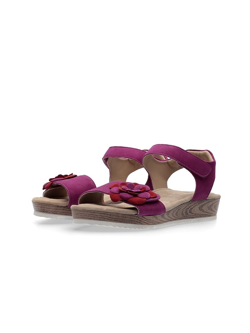 Sandales ARA Fidschi Femme | VMF-59074997