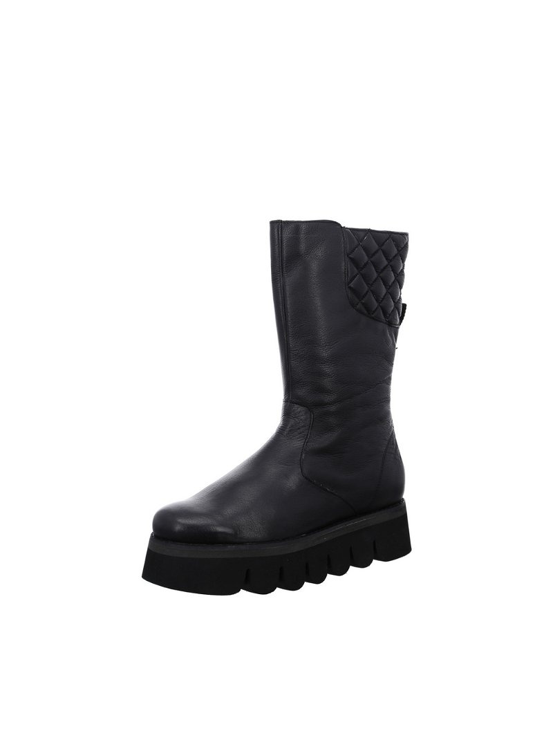 Bottes ARA Vigonza Noir Femme | CUU-57645757