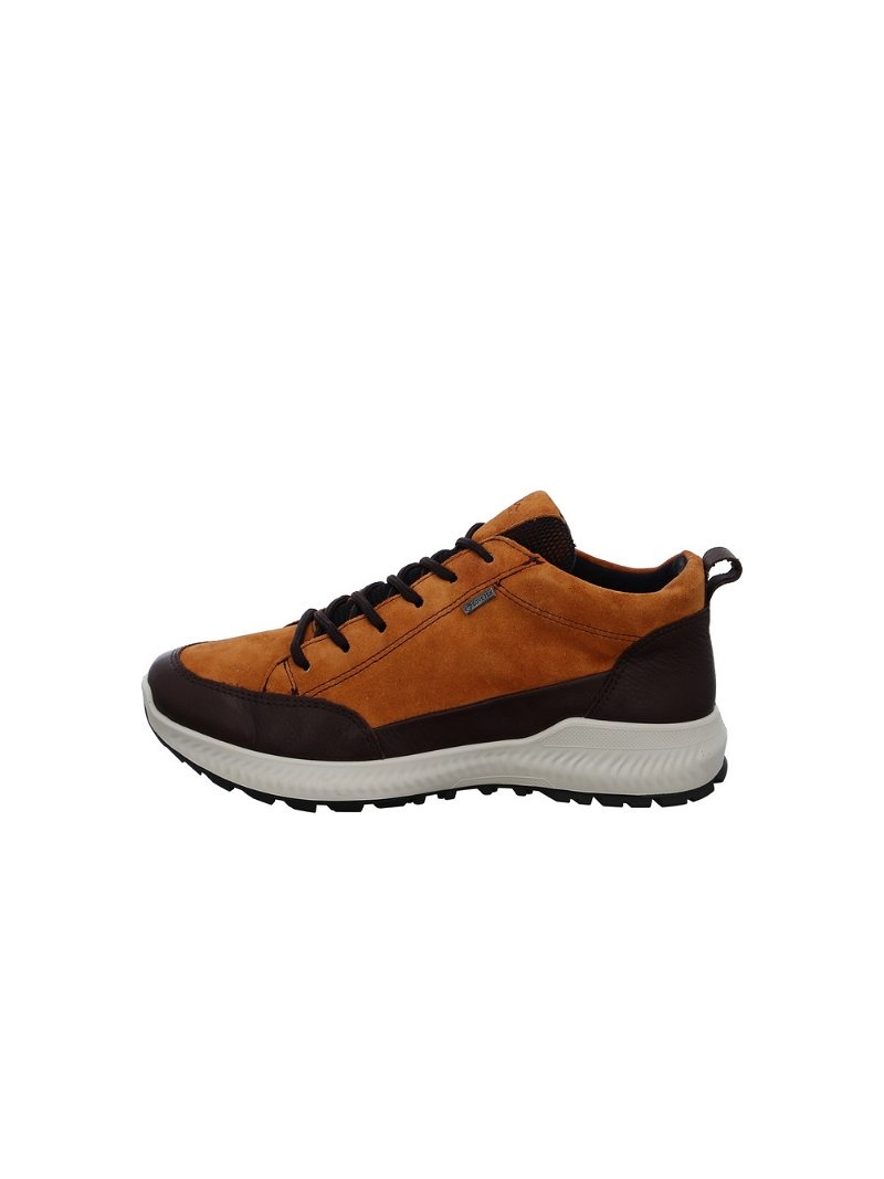 Bottines ARA Hiker Noir Femme | SWS-39696954