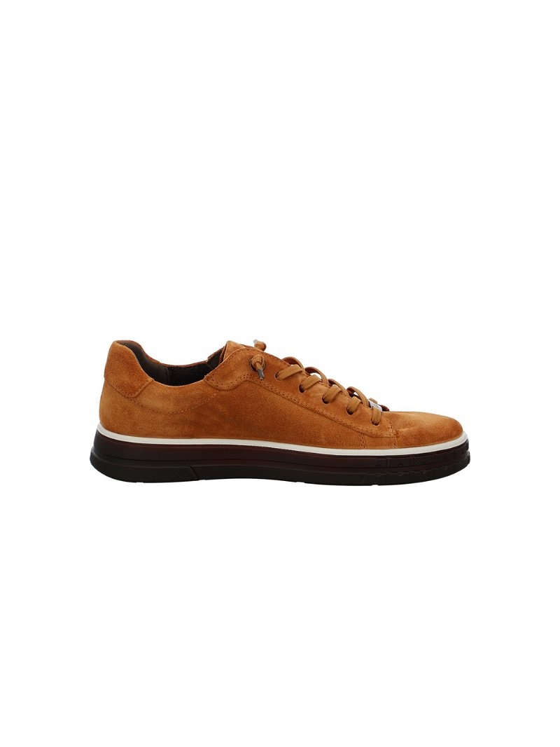 Basket ARA Frisco Femme | MAS-70524231